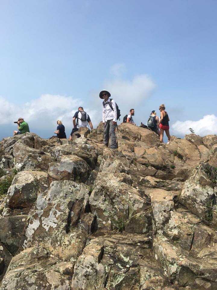 Hawksbill Summit, SNP