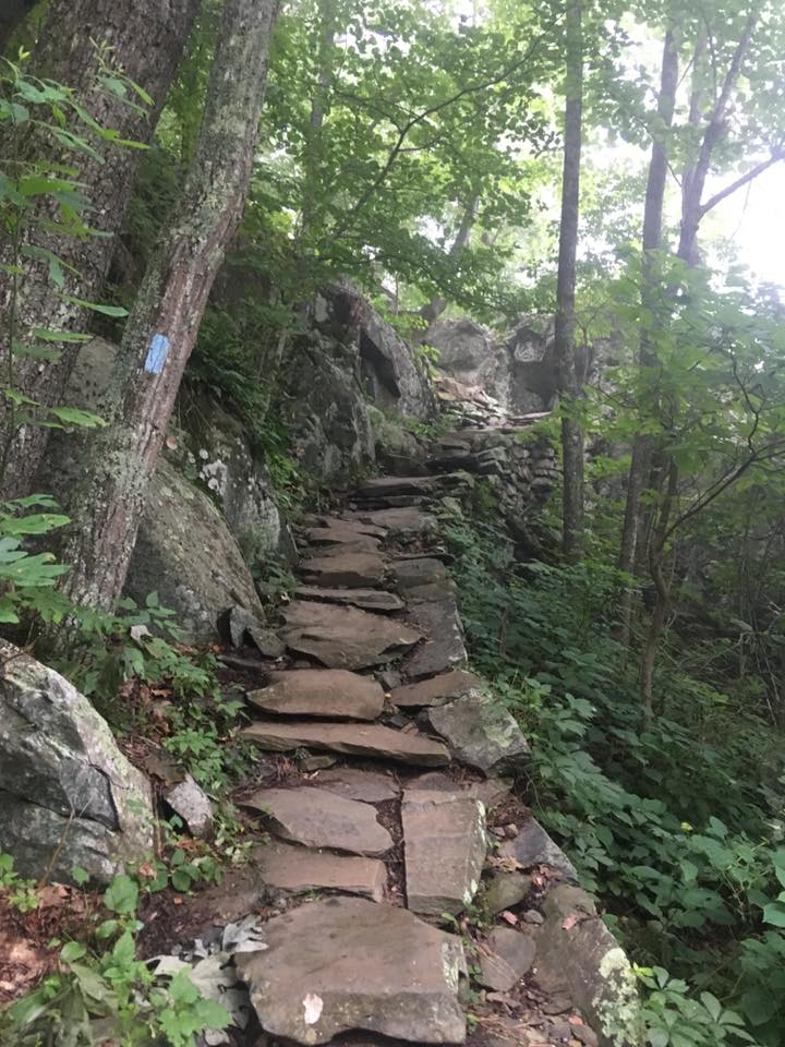 White Oak Canyon, SNP